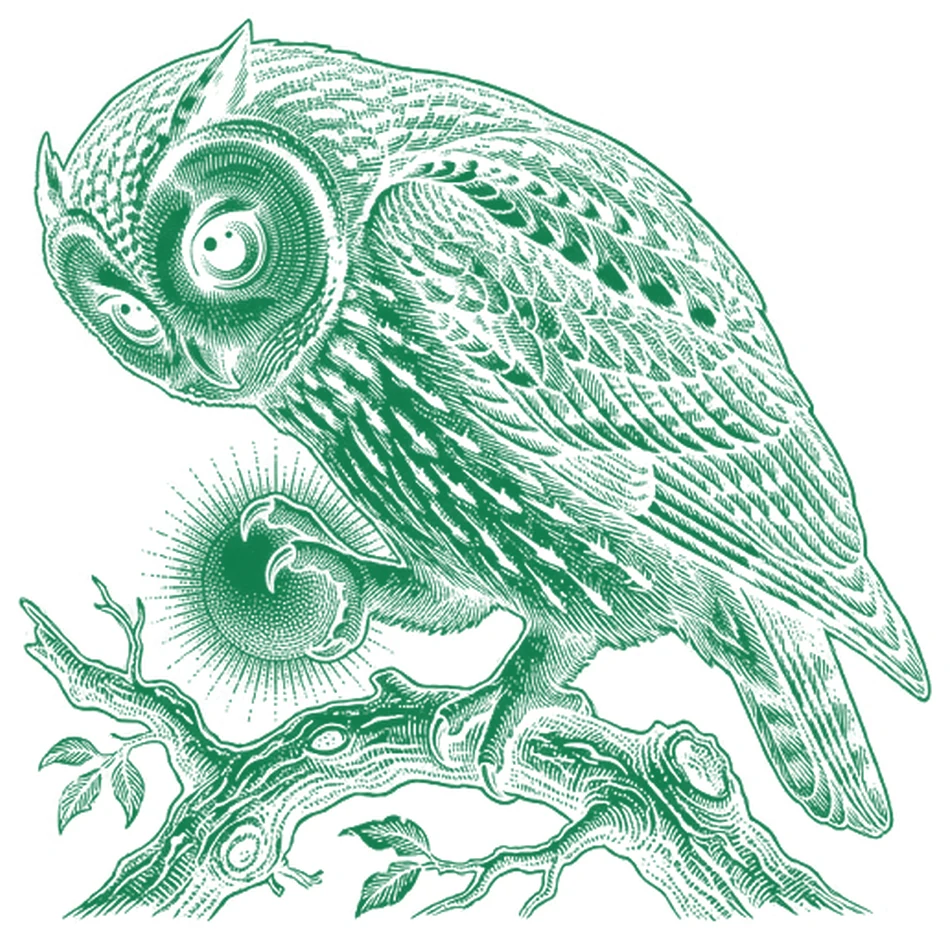 The laboratory owl, white line engraving, holding a glowing orb